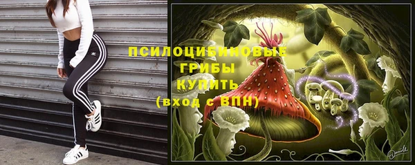 гидропоника Арсеньев