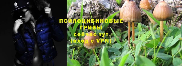 СК Алзамай