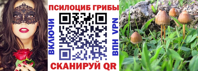 kraken ONION  где продают наркотики  Боровск  Псилоцибиновые грибы Magic Shrooms 